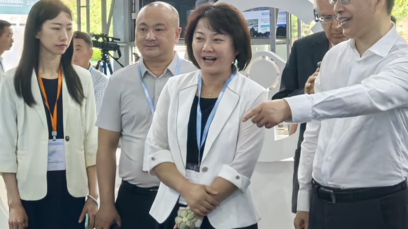 汽配批发与零售：货源渠道的差异化解析